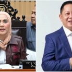 514412_03362127012026_cats